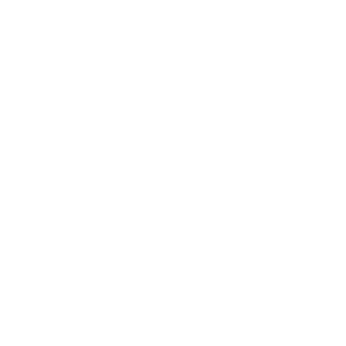 NTS_LOGO_MASTER copy